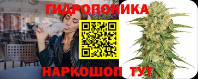 ПСИЛОЦИБИНОВЫЕ ГРИБЫ Канаш