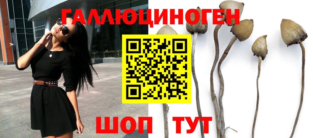 Псилоцибиновые грибы MAGIC MUSHROOMS Моздок
