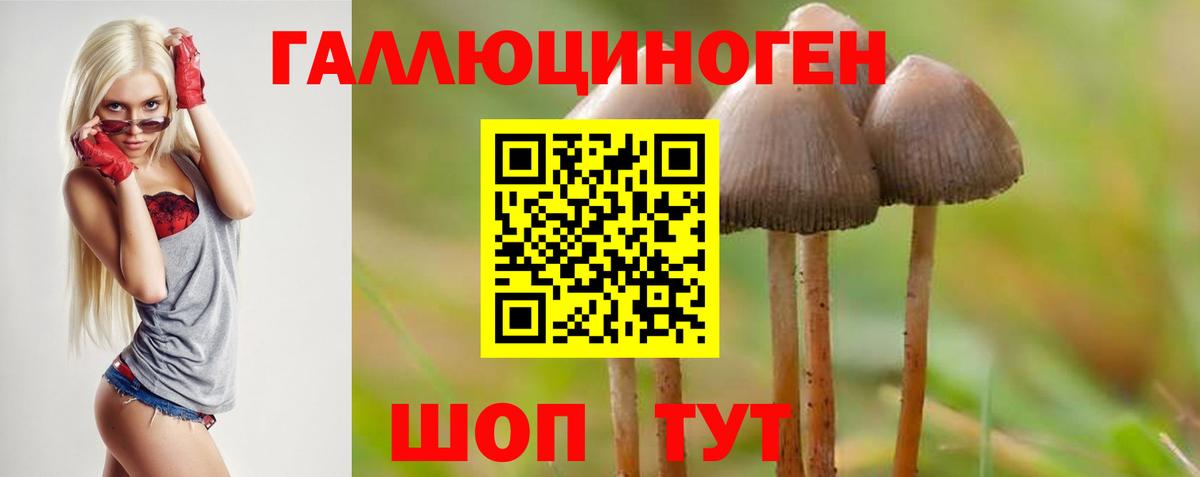Моздок  Псилоцибиновые грибы мухоморы  как найти   Вход с VPN 